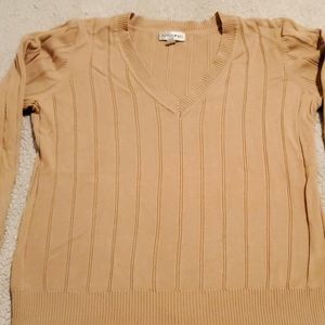 Fashion Bug tan v-neck sweater